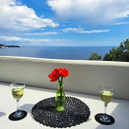 Blue View